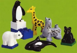 Baby Animals