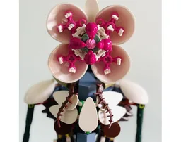 Demogorgon 10311 Orchidée