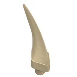 Animal Body Part, Barb / Claw / Tooth / Talon / Horn, Medium / Tan