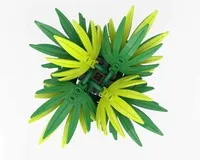 Palm Tree