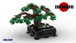 Bonsai