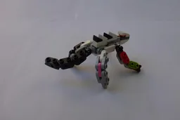 Lizard