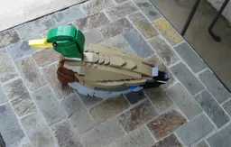 Mallard