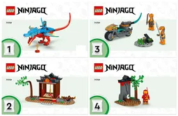 Ninja Dragon Temple