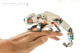 Chameleon