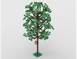 City oval tree