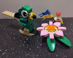 31377 Bird