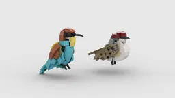 Birds 6 - European Bee-Eater and Eurasian Blackcap