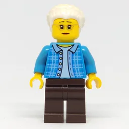 Dark Azure Torso, Dark Brown Legs, White Hair