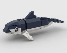 Dusky dolphin