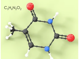 Nucleotides (DNA)
