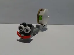 Snail