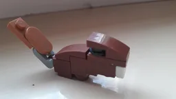 Beaver