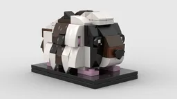 Guinea Pig - Fluffy