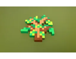Oak Sapling