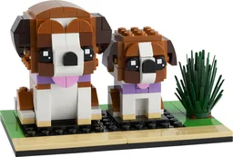 St. Bernard