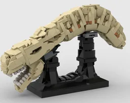 Xenomorph skull display