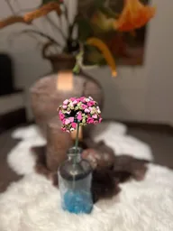 Valentine's Flower