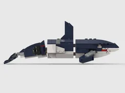 31088 Orca (Orcinus Orca)