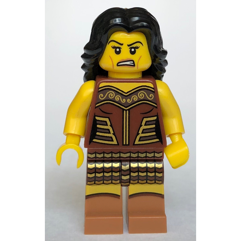 Lego Warrior Woman