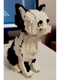 Cat BW