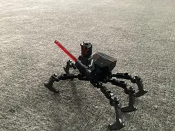 Darth Maul Spider