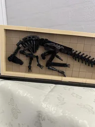 Hadrosaur Fossil