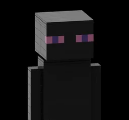 The Enderman House