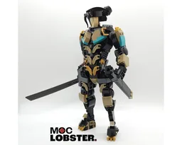 Cyberninja