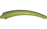 Animal Body Part / Plant, Tail / Claw / Horn / Branch / Tentacle, End Section