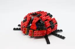 Ladybug