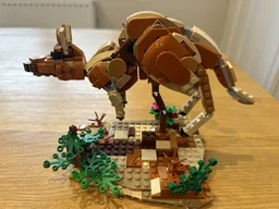 31150 Kangaroo