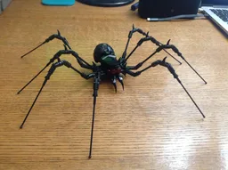 Creepy Spider