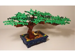 Bonsai Tree
