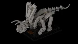 Pentaceratops Fossil