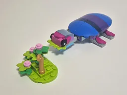 31157 Turtle