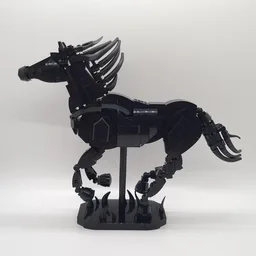Equus Caballus