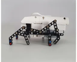 Robot Insect (51515 C Model)