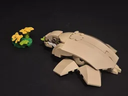Hungry Turtle