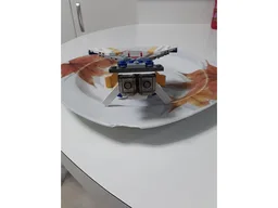 31042 Fly