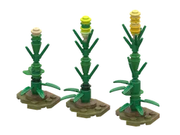 Field Corn
