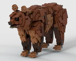 Brown bear