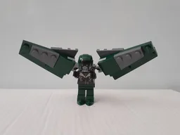 Vulture's Wings