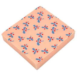 Scala, Pillow / Cushion 7 x 7 with Blue Leaves and Red Berries Print / Light Salmon
