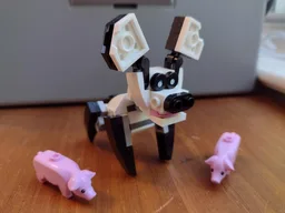 panda pig