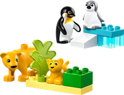 Wild Animal Families: Penguins & Lions