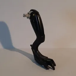 Animal Body Part, Dinosaur, Raptor Leg, Left / Black