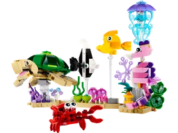 Sea Animals