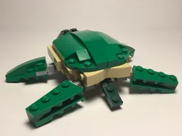 31058- Turtle