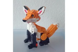 MOC-138049